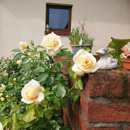 Pokoje Nad Mlynem Stryków Exterior foto