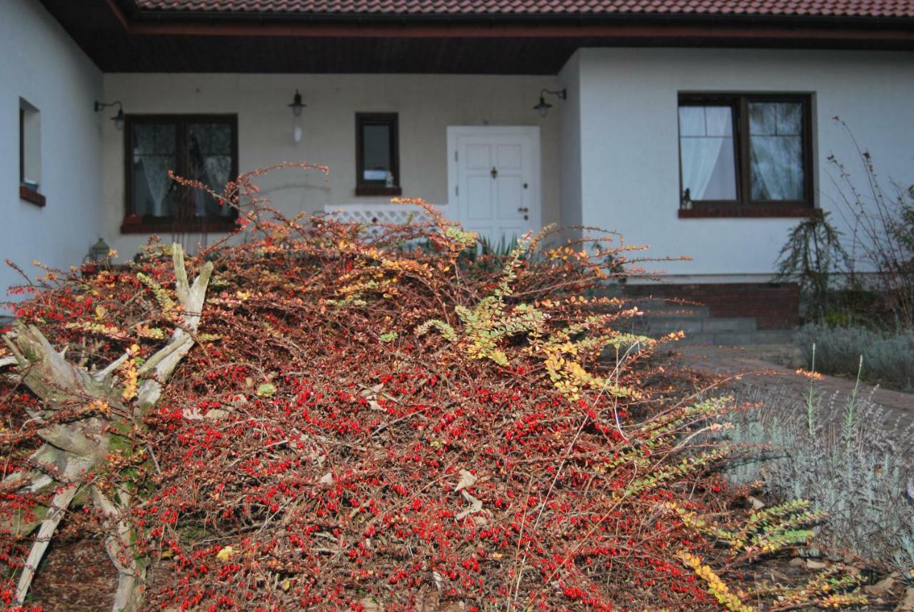 Nad Mlynem Stryków